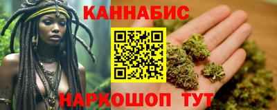 индика Ставрополь