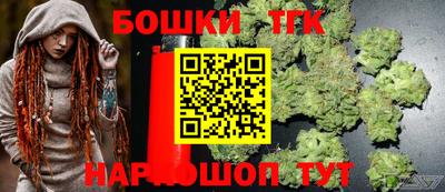 индика Ставрополь