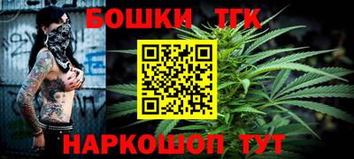 индика Ставрополь