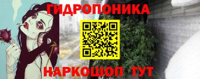 шишки Ленинск-Кузнецкий