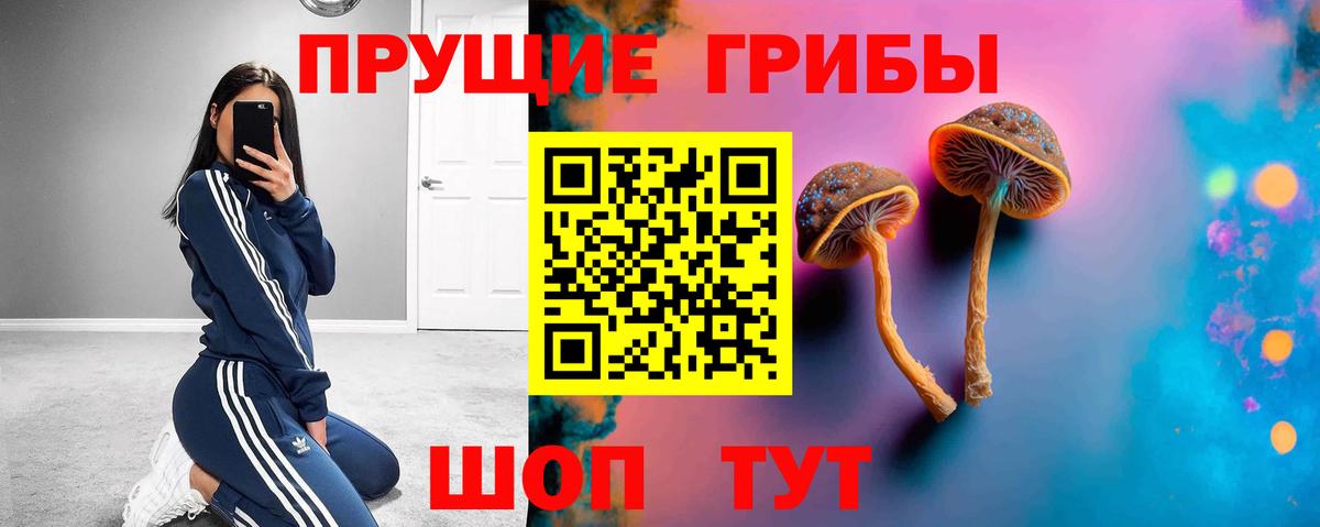 Галлюциногенные грибы Magic Shrooms  Галлюциногенные грибы Magic Shrooms  Вход с VPN  Мирный 